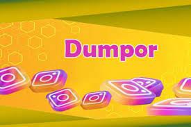 Dumpor : The Best Anonymous Instagram Story Viewer in 2023