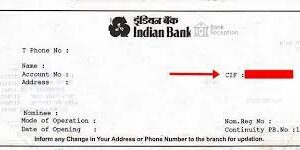 Top 5 Methods for Locating Your CIF Number Indian Bank