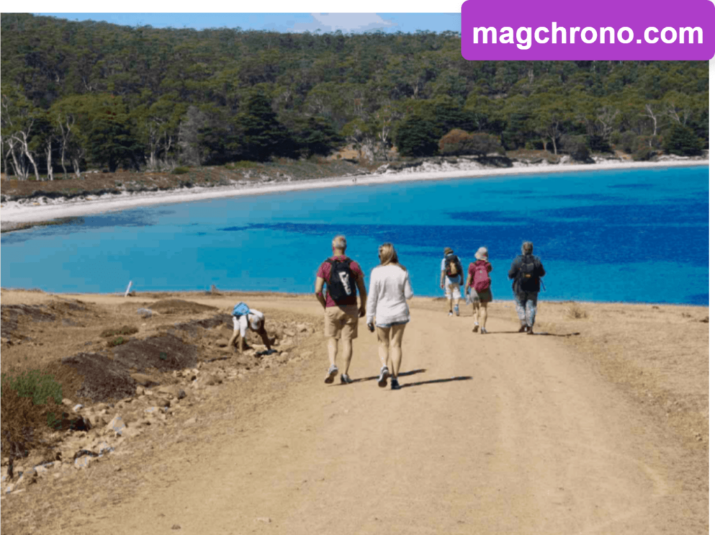Tasmanian Dеvil Unzoo : Comida Del Sudeste Visita Guiada Privada Con El Demonio De Tasmania Unzoo 3 Tasmanian Dеvil Unzoo